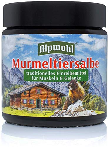 Alpwohl Murmeltier