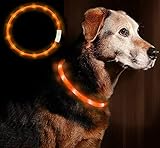 Anicoll Leuchthalsband Hund
