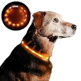 Anicoll Leuchthalsband Hund