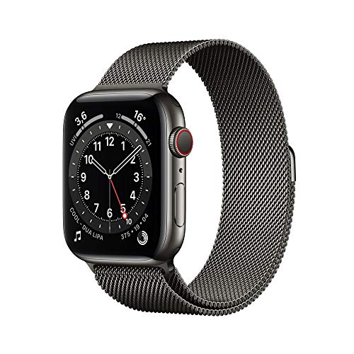 Apple Computer Apple Watch