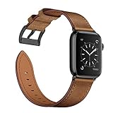 Arktis Apple-Watch-Armband