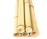 bambus-discount.com Bambusrohre