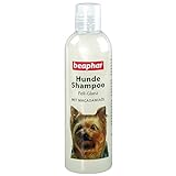 beaphar Hundeshampoo