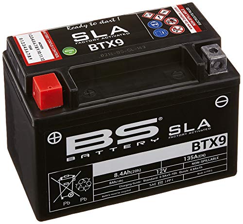 BS Battery 300674