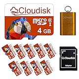 Cloudisk Micro-SD 4GB