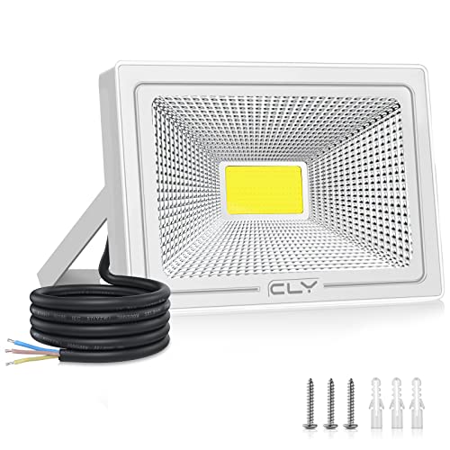 CLY 50W