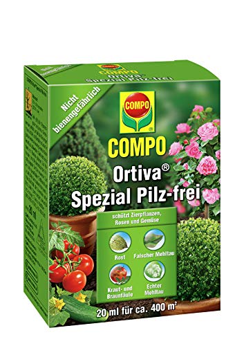 COMPO GmbH Ortiva