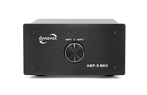 Dynavox AmpS