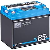 ECTIVE AGM-Batterie