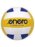 Super Star Volleyball