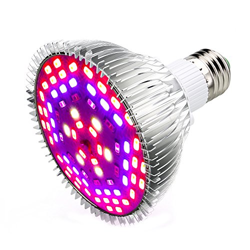 Esbaybulbs LED