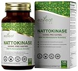 Ezyleaf Nutrition Nattokinase