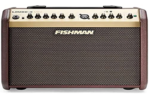 Fishman -Lautsprecherbox