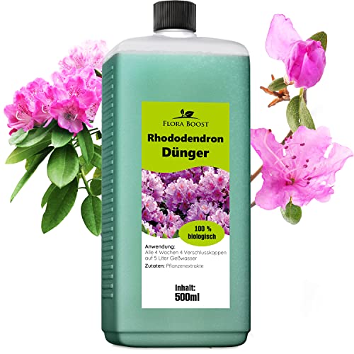 Flora Boost Rhododendron