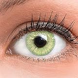 Meralens Farbige Kontaktlinsen