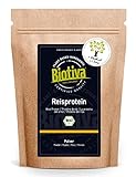 Biotiva Reisprotein