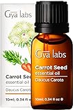 Gya Labs Carrot