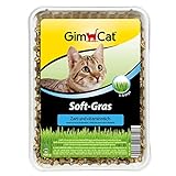 GimCat Katzengras