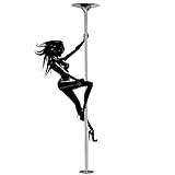 17 Pole-Dance-Stange