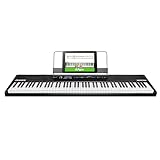 Alesis Keyboard (88 Tasten)