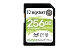 Kingston SDXC (256GB)