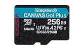 Kingston Micro-SD-256GB