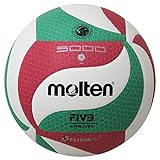 Molten Volleyball