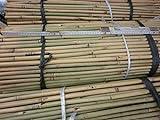 PflanzenFuchs Bambusrohre