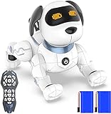 Ok K! Roboterhund