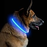 PetIsay Leuchthalsband Hund