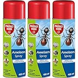 PROTECT HOME Ameisenspray