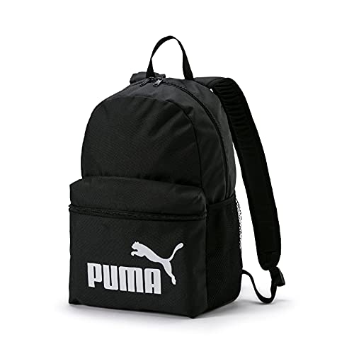 PUMAE|#PUMA Puma