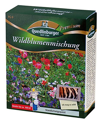 Quedlinburger Blumenwiese