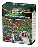 Quedlinburger Blumenwiese-Samen