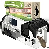 Motel Mouse Mausefalle