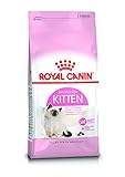 ROYAL CANIN Kitten-Trockenfutter