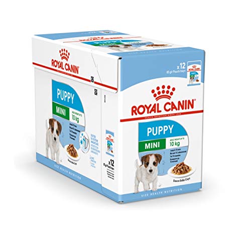 Royal Canin Mini Puppy / Junior Wet Royal