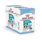 Royal Canin Mini Puppy / Junior Wet Welpen-Nassfutter