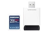 Samsung SDXC (256GB)