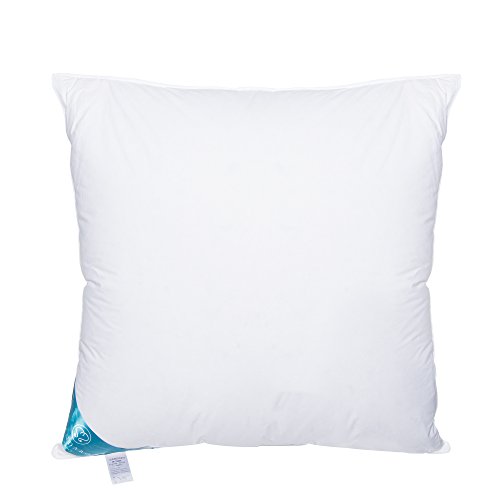 Sandaro Home Pillow