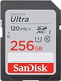 SanDisk SDXC (256GB)