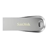 SanDisk USB-Stick (64 GB)