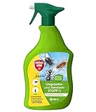 PROTECT HOME Ameisenspray