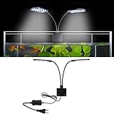 SENZEAL LED-Aquarium-Beleuchtung