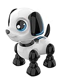 YCOO Roboterhund