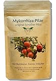 SYMYC von SYMPLANTA - mykorrhiza-produkte.de Obstbaum-Dünger