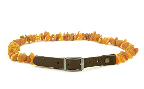 The Natural Amber Haustierhalsband
