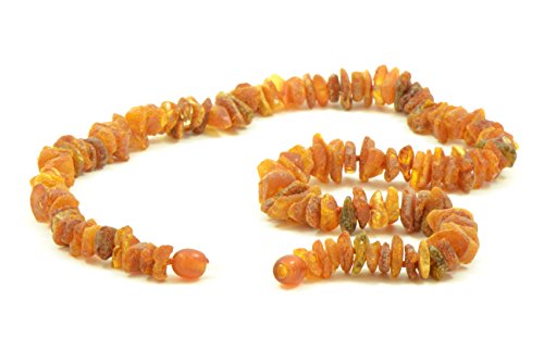 The Natural Amber Hundehalsband