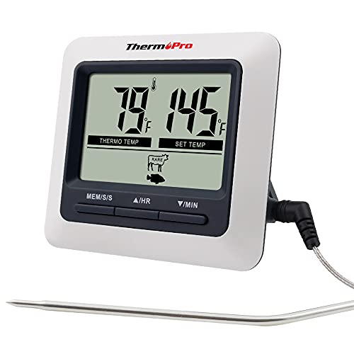 ThermoPro TP04