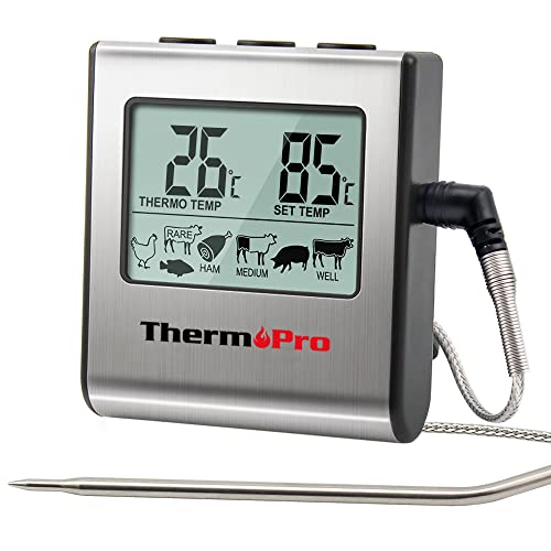 ThermoPro Tp16